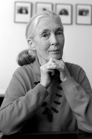 Jane Goodall