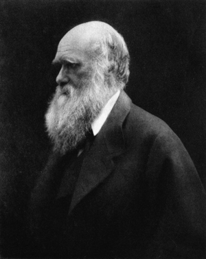 Karol Darwin